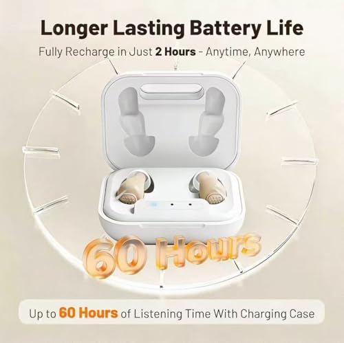 Acevion 260 hearing aid - charging case
