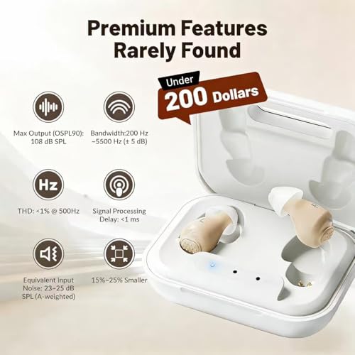 Acevion 260 hearing aid - size comparison