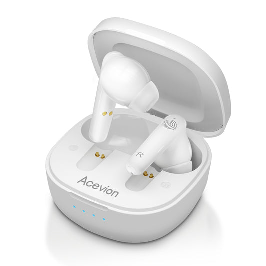 Hearing Aids - D22 Pro
